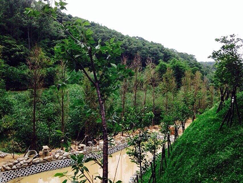 2014/05/26 「梅雨季節過後的彌陀博物大院聖山」