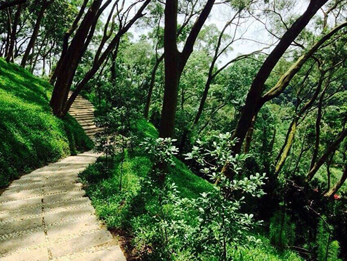 2014/05/26 「梅雨季節過後的彌陀博物大院聖山」